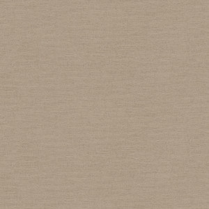HV41004 - Blooming Wild Plain Texture Brown Galerie Wallpaper HV41004 - Blooming Wild Plain Texture Brown Galerie Wallpaper