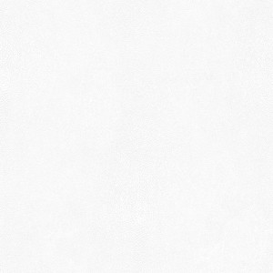 G67470 - Natural FX2 Stingray Cream Galerie Wallpaper G67470 - Natural FX2 Stingray Cream Galerie Wallpaper