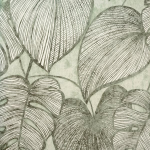 26935 - Julie Feels Home Monstera Olive Sage Galerie Wallpaper 26935 - Julie Feels Home Monstera Olive Sage Galerie Wallpaper