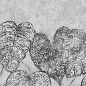 26977 - Julie Feels Home Monstera Twinwall Black Mid Lead Galerie Wallpaper 26977 - Julie Feels Home Monstera Twinwall Black Mid Lead Galerie Wallpaper