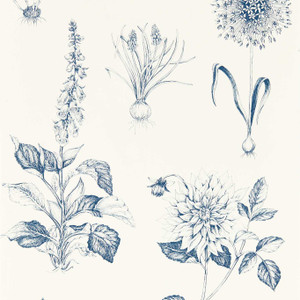 Clarke & Clarke W0197-03 - Secret Garden Contemporary Floral Black Clarke & Clarke Wallpaper roll - luxury design for UK feature walls