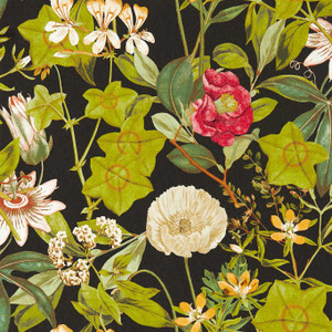 Clarke & Clarke W0143-04 - Exotica 2 Contemporary Floral Black Clarke & Clarke Wallpaper roll - luxury design for UK feature walls