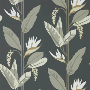 HMIW112256 - Mirador Botanical Black Harlequin Wallpaper HMIW112256 - Mirador Botanical Black Harlequin Wallpaper