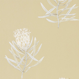 DART216331 - Art Of The Garden Contemporary Floral Grey Sanderson Wallpaper DART216331 - Art Of The Garden Contemporary Floral Grey Sanderson Wallpaper