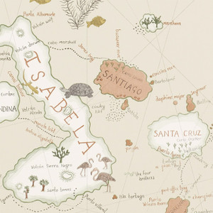 DVOY213362 - Voyage of Discovery Galapagos Neutral Sanderson Wallpaper DVOY213362 - Voyage of Discovery Galapagos Neutral Sanderson Wallpaper
