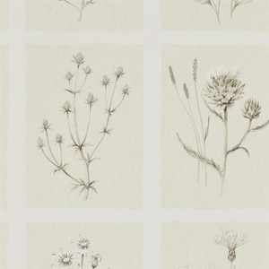 DEBB216511 - Embleton Bay Botanical Neutral Sanderson Wallpaper DEBB216511 - Embleton Bay Botanical Neutral Sanderson Wallpaper