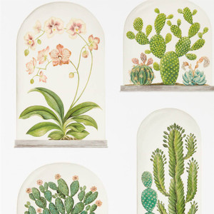 DGLW216655 - Glasshouse Botanical Green Sanderson Wallpaper DGLW216655 - Glasshouse Botanical Green Sanderson Wallpaper