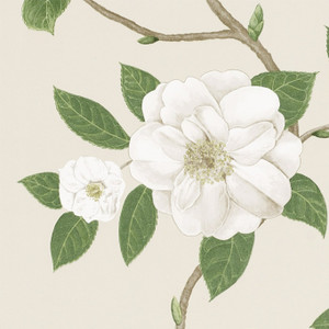 DVOY213380 - Sanderson Home Classic Floral Green Sanderson Wallpaper DVOY213380 - Sanderson Home Classic Floral Green Sanderson Wallpaper