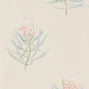 DART216329 - Curios Contemporary Floral Blue Sanderson Wallpaper DART216329 - Curios Contemporary Floral Blue Sanderson Wallpaper