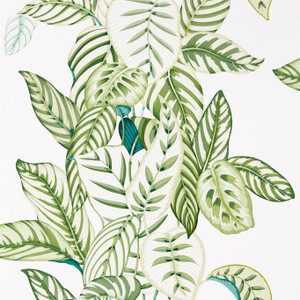 DGLW216630 - Glasshouse Botanical Green Sanderson Wallpaper DGLW216630 - Glasshouse Botanical Green Sanderson Wallpaper