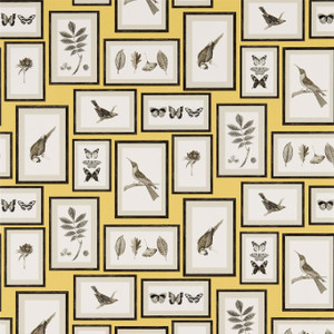 DVOY213396 - Voyage of Discovery Birds Yellow Sanderson Wallpaper DVOY213396 - Voyage of Discovery Birds Yellow Sanderson Wallpaper