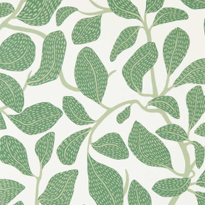 NSCW113268 - Oakham Botanical Green Scion Wallpaper NSCW113268 - Oakham Botanical Green Scion Wallpaper