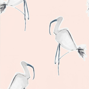 NZAW111999 - Zanzibar Birds Grey Scion Wallpaper NZAW111999 - Zanzibar Birds Grey Scion Wallpaper