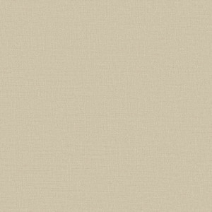 DC30117-Designer Colours Plain Texture Beige Galerie Wallpaper