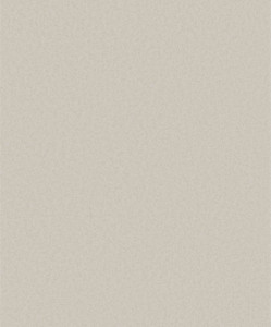 DC30134-Designer Colours Plain Texture Beige Galerie Wallpaper