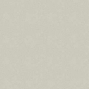 294-3 - Bambino Dropy Plain Beige Galerie Wallpaper
