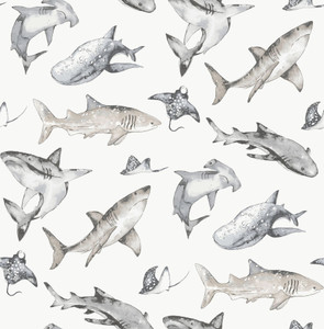 G78593 - Kids and Teens Sharks Silver Grey Galerie Wallpaper