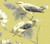 1838 Wallcoverings 1601-100-01 - Rosemore Trees Birds Mustard Grey 1838 Wallpaper - shown in room setting