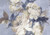 1838 Wallcoverings 1703-108-04 - Camellia Large Bold Flowers Denim Blue 1838 Wallpaper roll - luxury design for UK feature walls