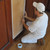 1.5" Low Tack Kleenedge Paint Masking Tape 36mm x 50mtr