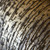 Galerie 51205 - Universe Glass Beads Textured Umber Brown Galerie Wallpaper - texture close-up detail