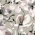Galerie 47466 - Flora Cherry Blossom Grey Beige White Galerie Wallpaper roll - luxury design for UK feature walls