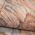 Galerie 26940 - Julie Feels Home Monstera Rust Mirage Galerie Wallpaper - roll and label close-up