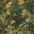 Clarke & Clarke W0140-02 - Exotica 2 Botanical Green Clarke & Clarke Wallpaper roll - luxury design for UK feature walls