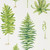 Sanderson DGLW216633 - Glasshouse Botanical Green Sanderson Wallpaper roll - luxury design for UK feature walls