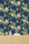 M1661_Crown Exotic, Bird, Dramatic Navy Blue Yellow Blue Fine Decor Wallpaper