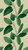 WH45233M-Welcome Home Murals Tree Leaf Cream, Yellow, Green Galerie Mural
