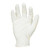 Blackrock - Powdered Disposable Vinyl Gloves - Box 100 - Size L