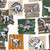 G78560 - Kids and Teens Dinosaurs Green Beige Orange Galerie Wallpaper