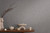 CL65297 - Cosmo Living Texture Silver Grey Galerie Wallpaper
