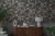 CL65229 - Cosmo Living Still Bloom- Poetry Black Green Pink Galerie Wallpaper