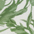 CL65237 - Cosmo Living Earthlines - Balance Green Galerie Wallpaper