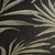 CL65283 - Cosmo Living Midnight Botanica -Mystery Black Gold Galerie Wallpaper