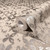 35120 - City Romance Graphics Orange Silver Grey Galerie Wallpaper