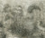 35098 - City Romance Floral Beige Green Galerie Wallpaper Mural