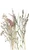35798 - Boho Fine Linen Floral Green Beige Galerie Wallpaper Mural