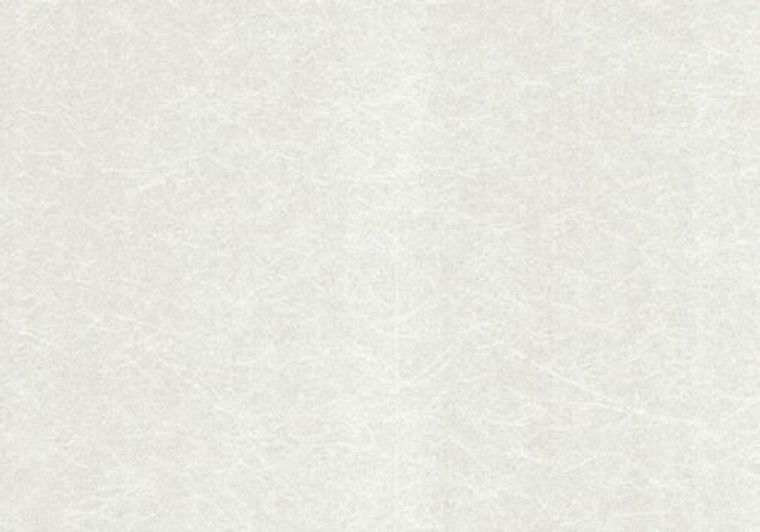 1703-114-01  - Camellia Textured Fibrous Effect Ivory 1838 Wallpaper