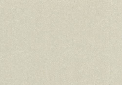 1838 Wallcoverings 1703-114-02 - Camellia Textured Fibrous Effect Beige Natural 1838 Wallpaper roll - luxury design for UK feature walls