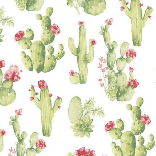 Galerie CK36630 - Kitchen Style 3 Cactus Cacti Green Red White Galerie Wallpaper roll - luxury design for UK feature walls