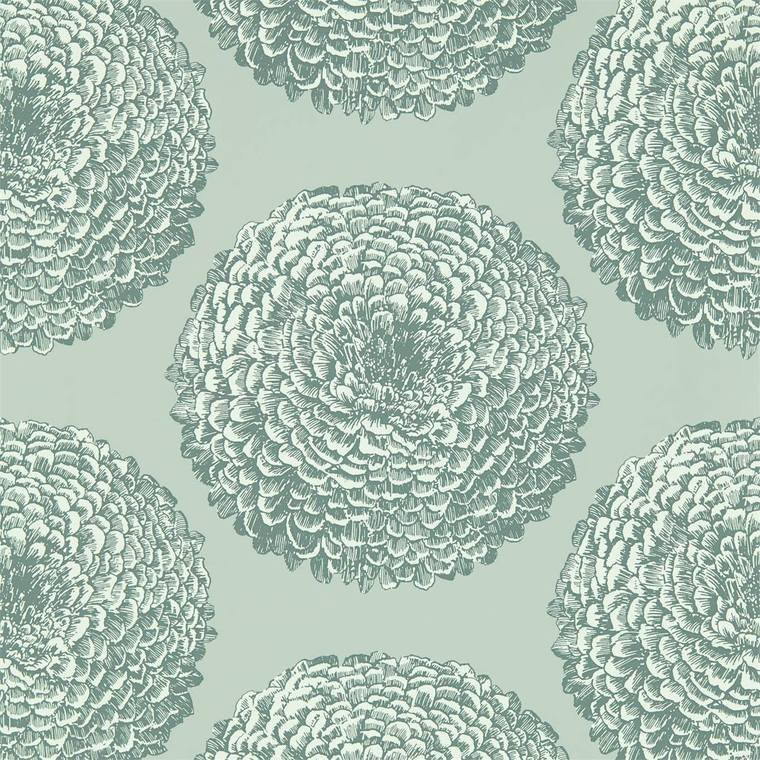 Harlequin 112176 - Momentum 6 Pompom Dahlias Titanium Graphite Harlequin Wallpaper roll - luxury design for UK feature walls