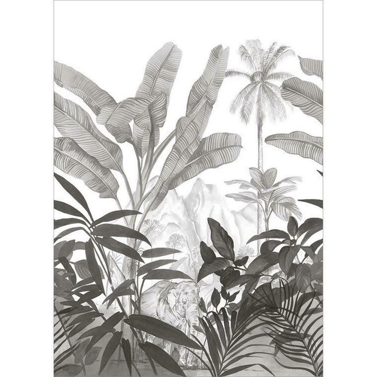 101289008 - Moonlight Jungle Foliage Elephant Black Casadeco Wallpaper Mural