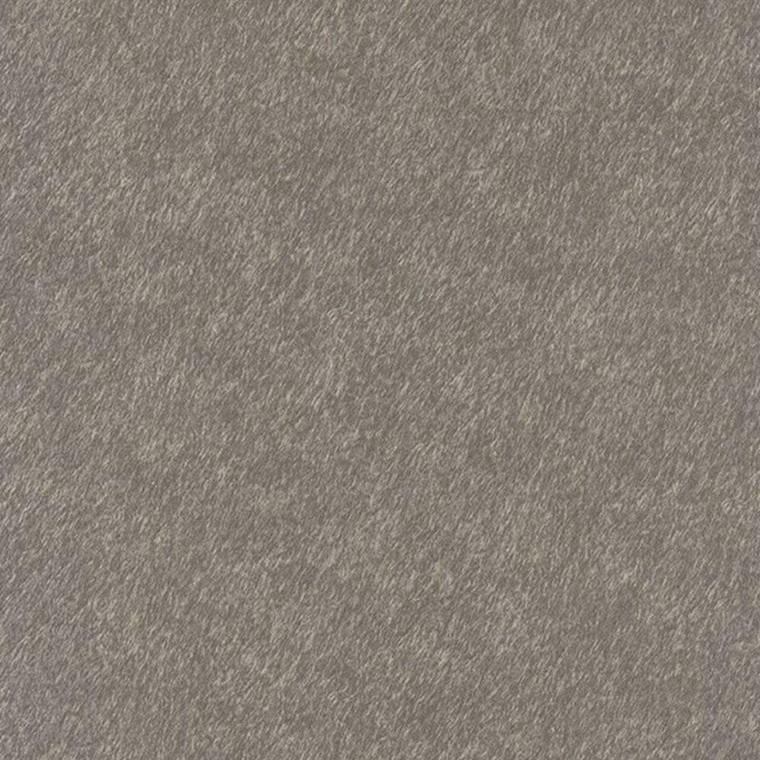 82511505 - Encyclopedia Textured Scratch Effect Beige Casadeco Wallpaper