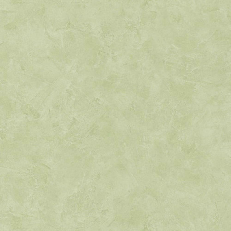 100227690 - Patine Plain Patinated Plaster Green Casadeco Wallpaper