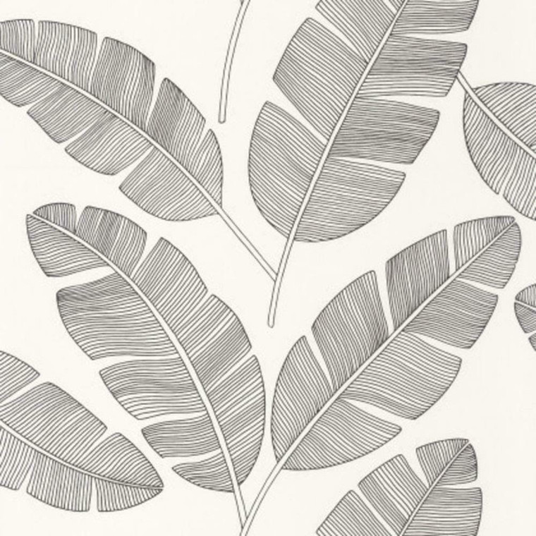 101099007 - Moonlight Banana Tree Leaves Black Casadeco Wallpaper