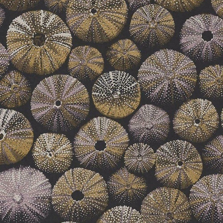 84532520 - Encyclopedia2 Sea Urchins Yellow Casadeco Wallpaper