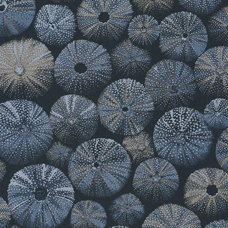 84536406 - Encyclopedia2 Sea Urchins Blue Casadeco Wallpaper